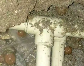 安达测漏水多少钱