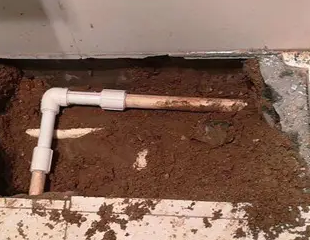 安达测漏水哪家好