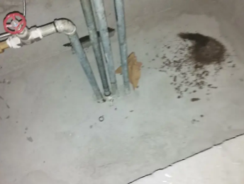 安达卫生间测漏水价格明细