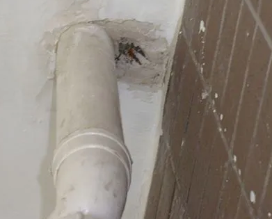 安达漏水检测哪家好